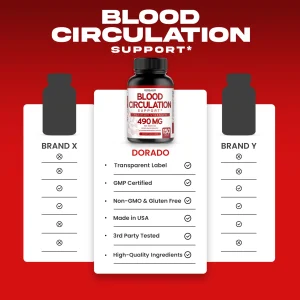 Blood Circulation ภาพที่ 4