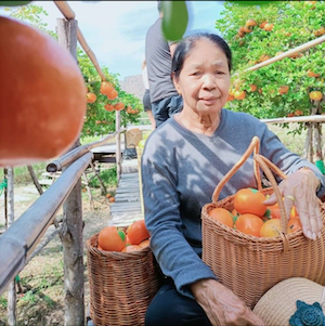 ป้าศรี